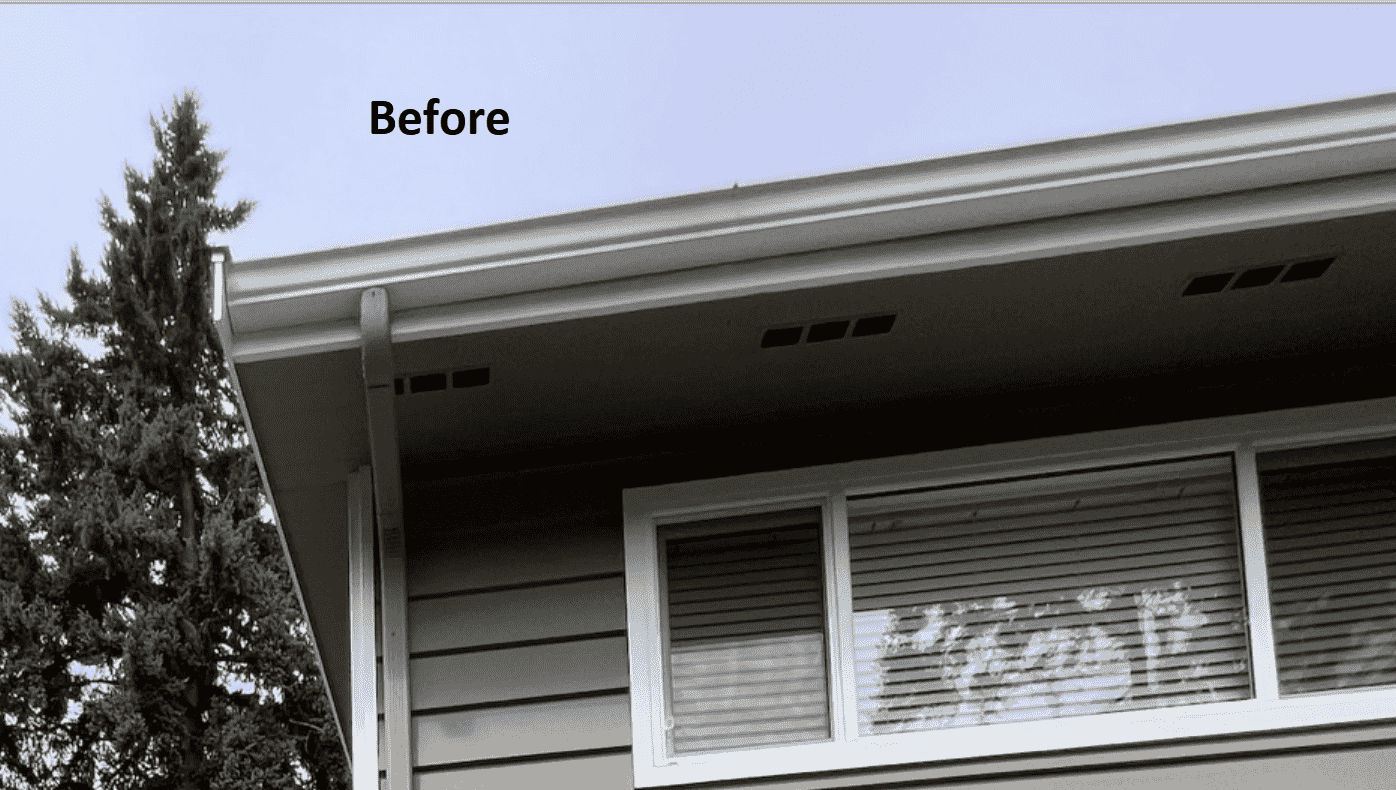 Seattle Home Gets a NO Maintenance Gutter System